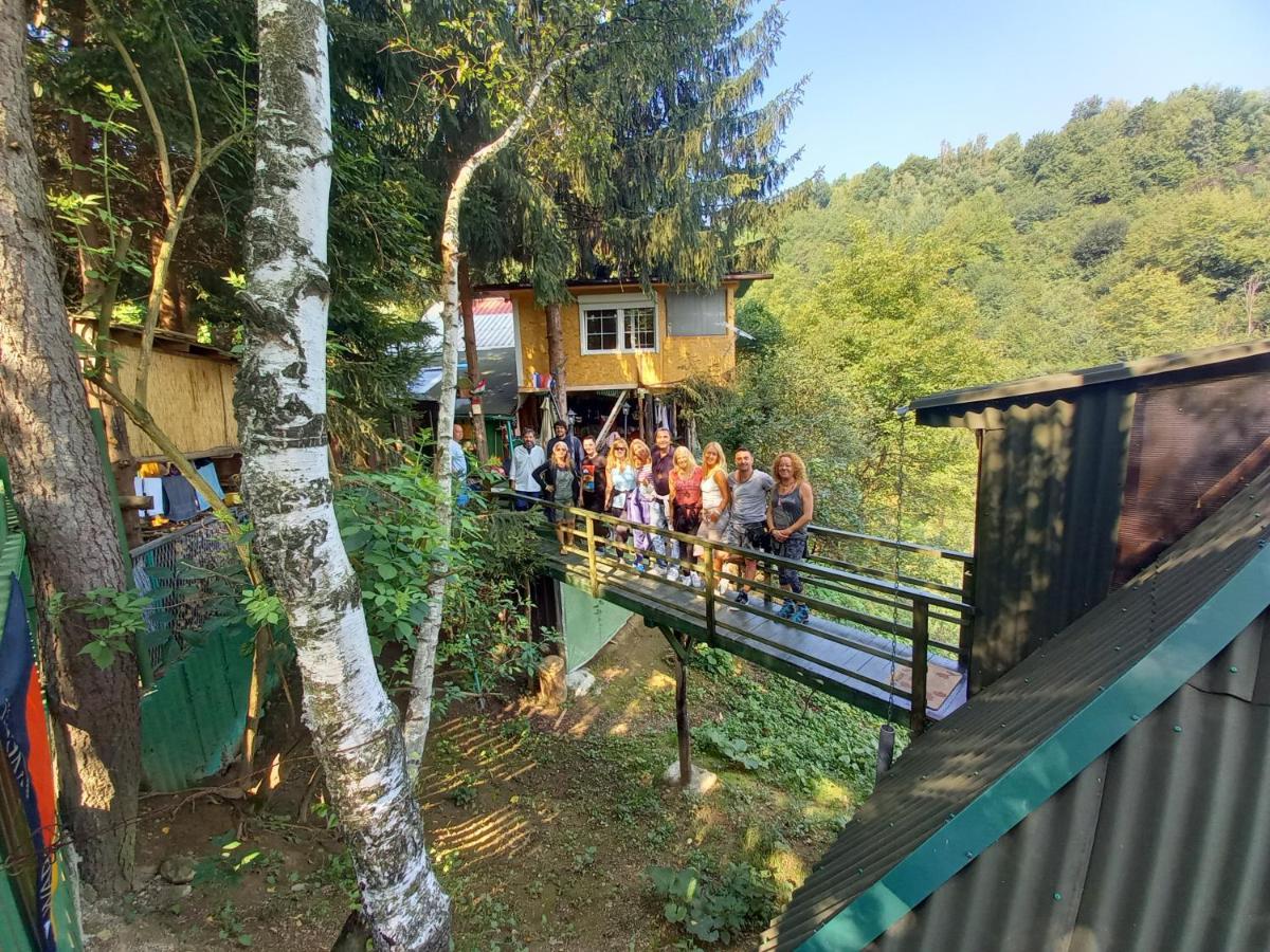 Apartament Tree House Visoko Zewnętrze zdjęcie