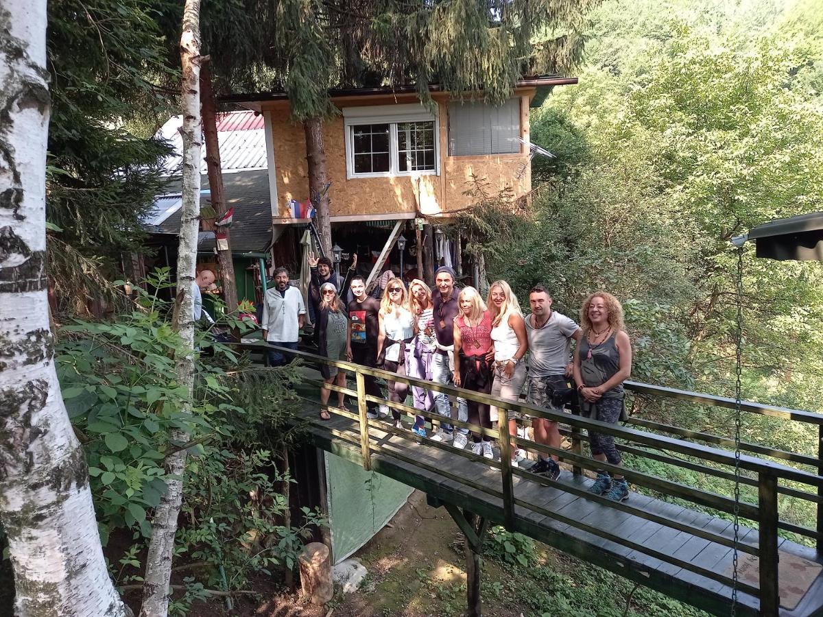 Apartament Tree House Visoko Zewnętrze zdjęcie