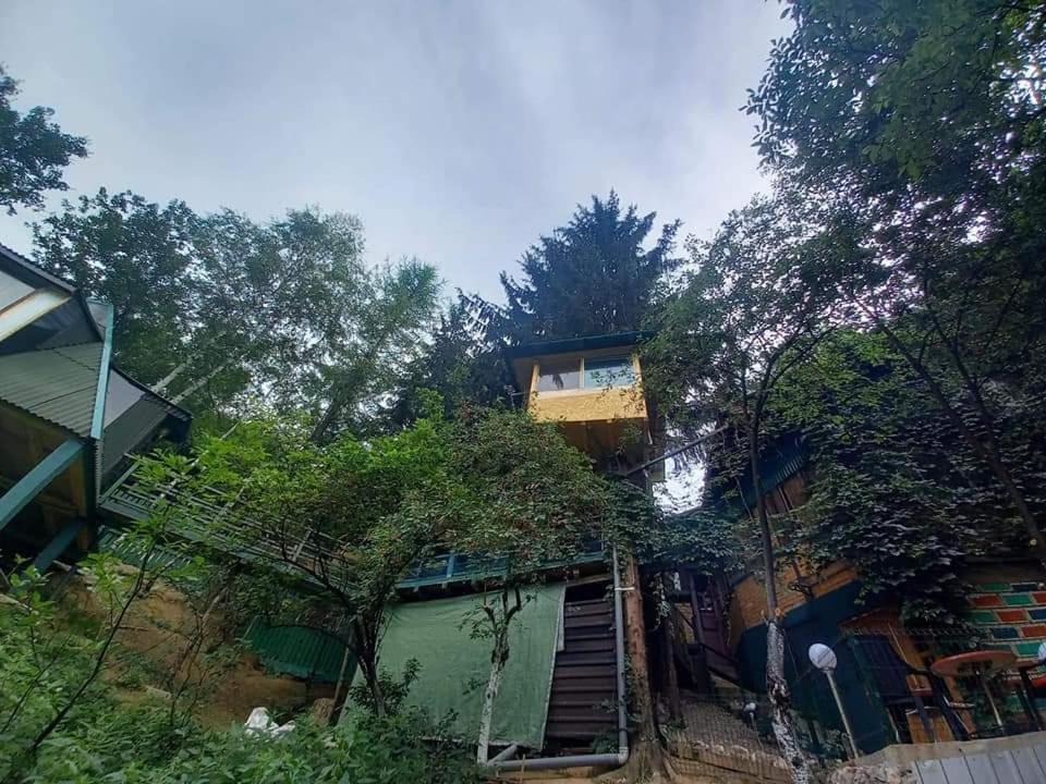 Apartament Tree House Visoko Zewnętrze zdjęcie